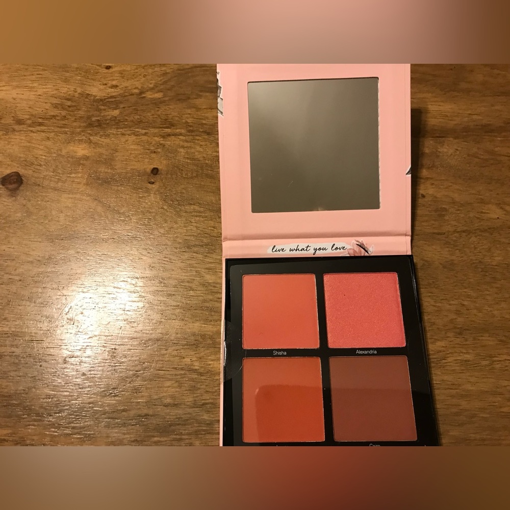 Never used blush pallet by Catrice